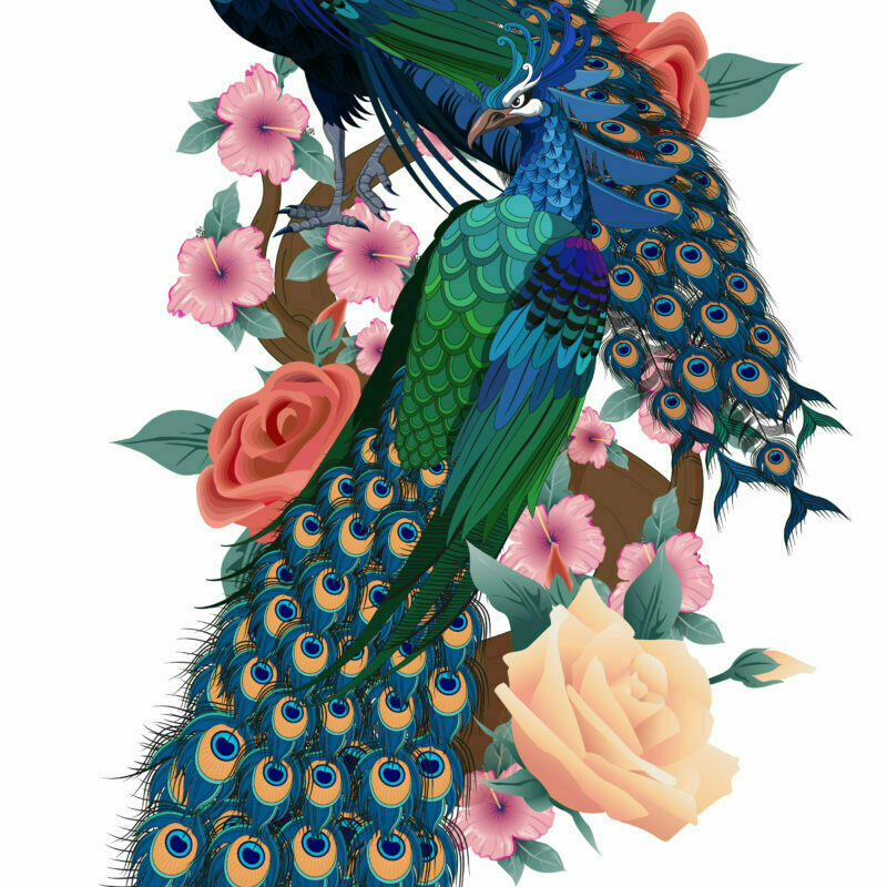 Vector Art is available in Peacock design